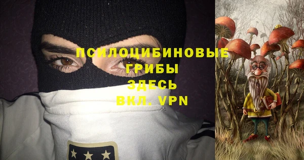 мдпв Бронницы