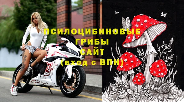 молекула духа Богородск