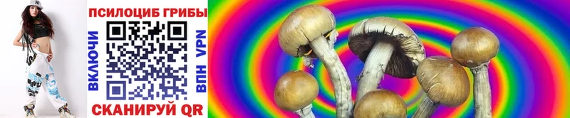 Псилоцибиновые грибы мухоморы  Кириши 
